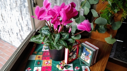 ♪クリスマス・プレゼント♪